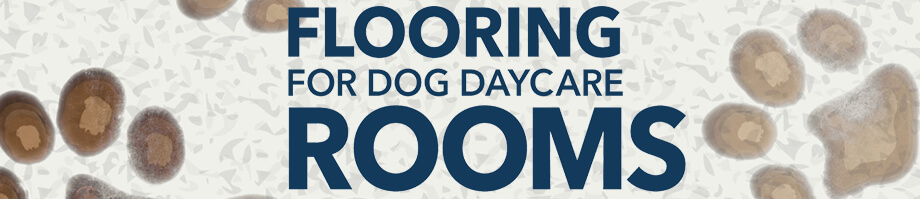 Flooring for Dog Daycare Rooms - Pawsibly the Most Difficult Decision