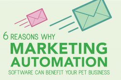 6 Reasons Why Marketing Automation Software Can Benefit Your Pet Business