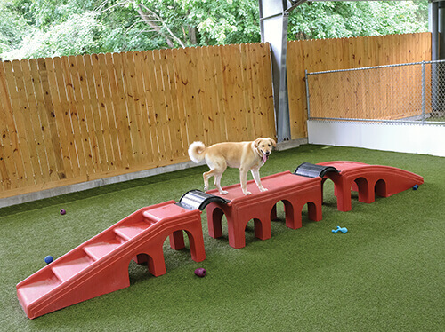 Misty Pines Pet Company Dog Park Misty Pines Pet Company Dog Park