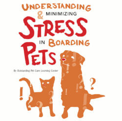 Understanding & Minimizing Stress In Boarding Pets