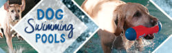 Dog Simming Pools