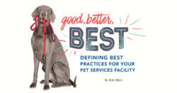 Good, Better, Best: Defining Best Practices For Your Pet Services Facility