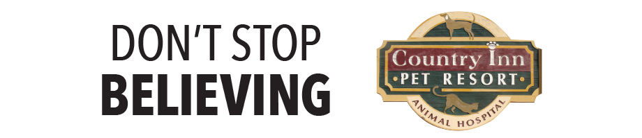 Don't Stop Believing