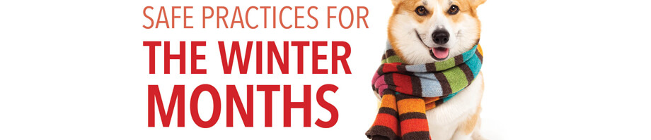 Safe Practices for the Winter