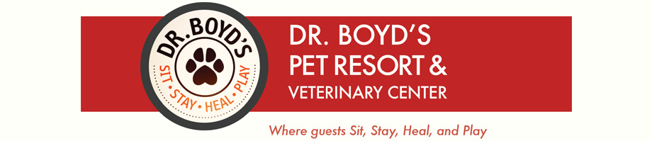 Profile of Success: Dr. Boyd's Pet Resort & Veterinary Center