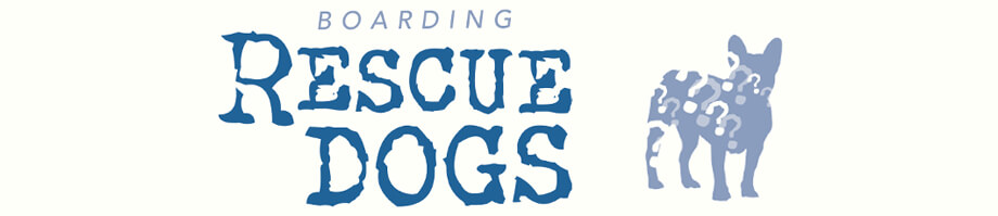 Boarding Rescue Dogs in Your Facility