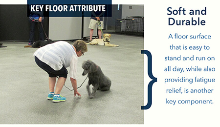 Flooring For Dog Daycare Rooms Pawsibly The Most Difficult