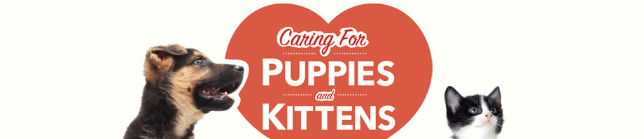 Caring for Puppies & Kittens