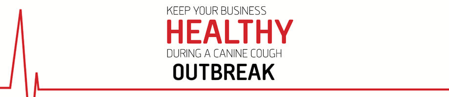 Keep Your Business Healthy During a Canine Cough Outbreak