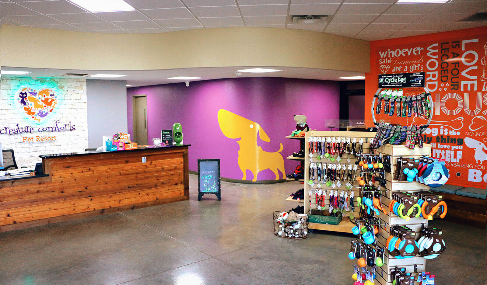 Creature Comforts Pet Resort Pet Boarding and Daycare