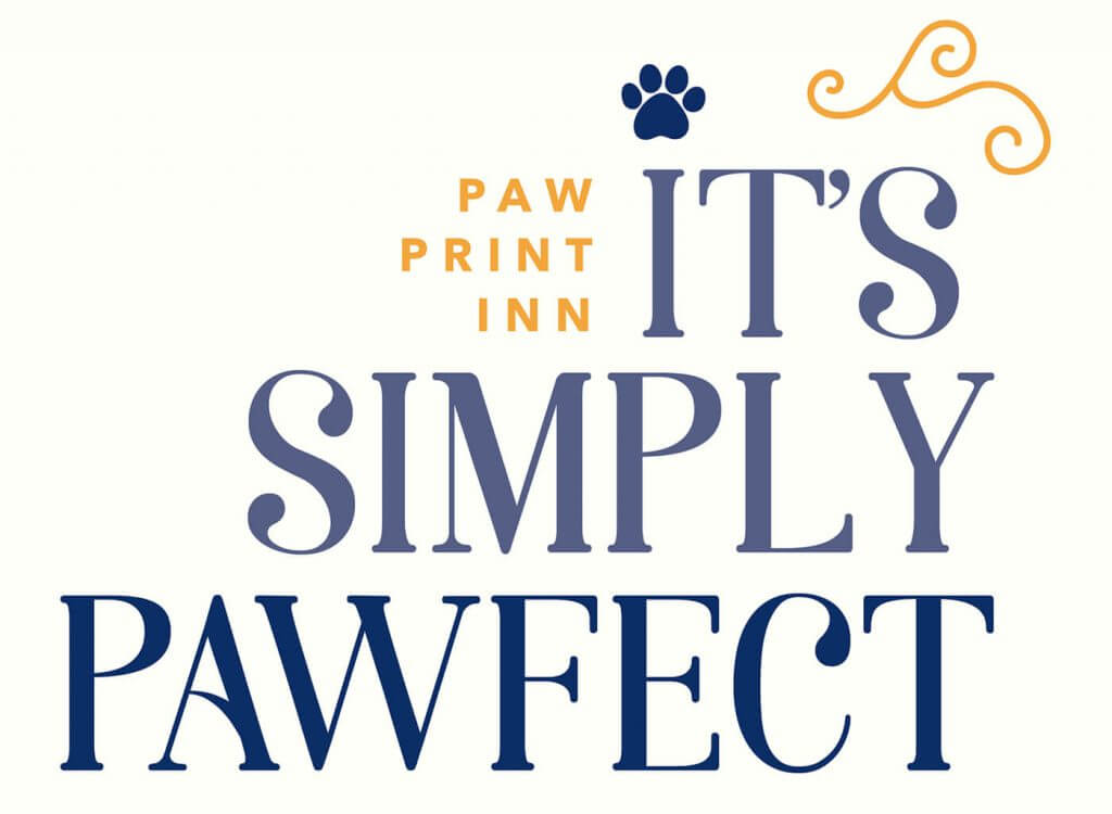 paw spa resort paw spa resort