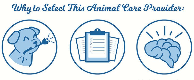 The Other Side Of The Gate What Pet Parents Look For In A