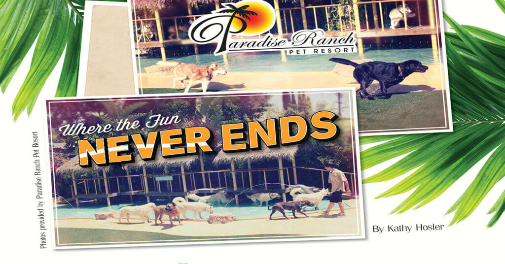 Paradise Ranch Pet Resort Profile of Success Article