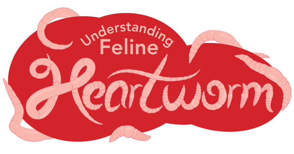 feline heartworm