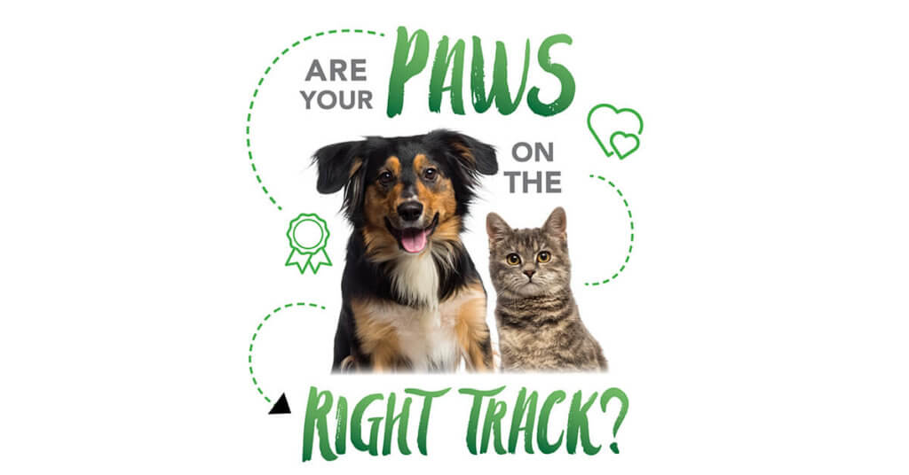 Are Your Paws On The Right Track?