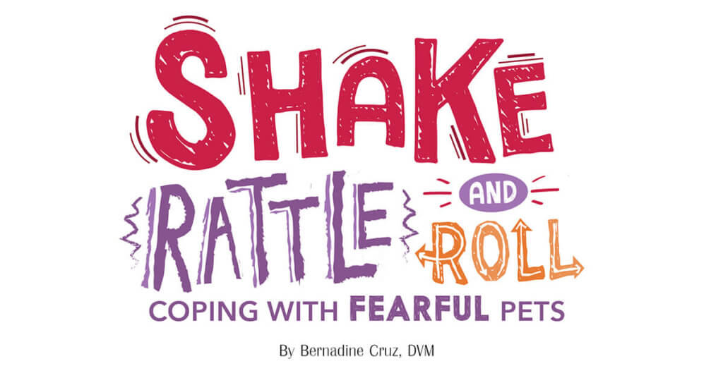 Shake Rattle and Roll