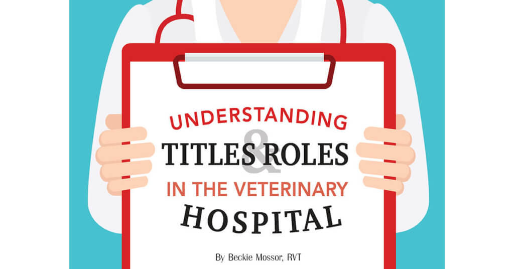 Understanding Titles & Roles In The Veterinary Hospital Pet Boarding