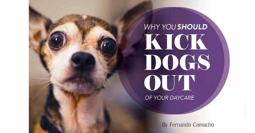 kick dogs out
