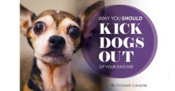 Why You Should Kick Dogs out of Your Daycare
