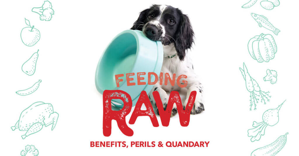 Feeding Raw: Benefits, Perils & Quandary