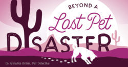 Beyond a Lost Pet Disaster