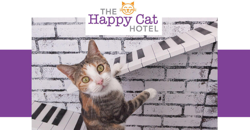 The Happy Cat Hotel