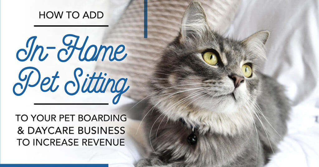 How to Add In-Home Pet Sitting to Your Pet Boarding & Daycare Business to Increase Revenue