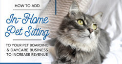 How to Add In-Home Pet Sitting to Your Pet Boarding & Daycare Business to Increase Revenue