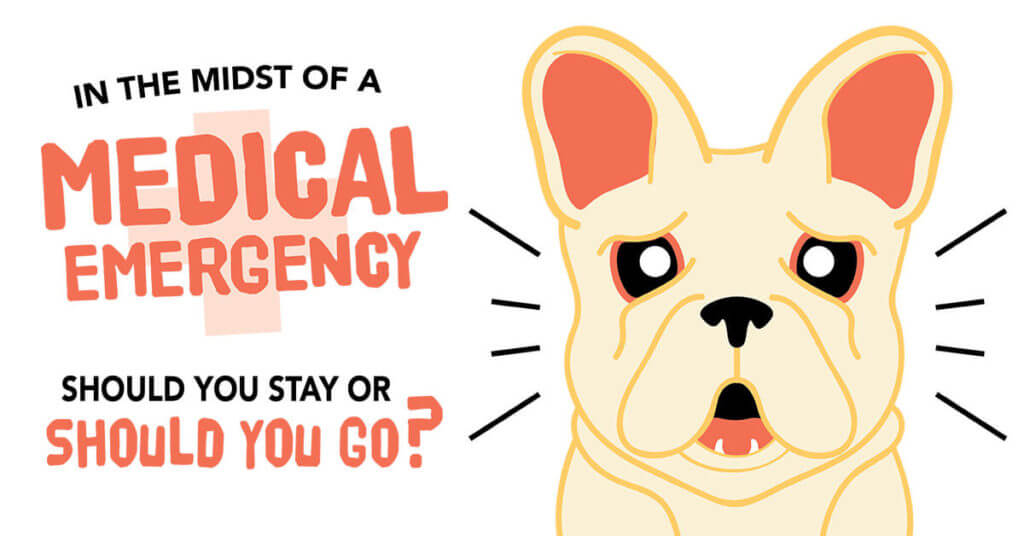In the Midst of a Medical Emergency: Should You Stay or Should You Go?