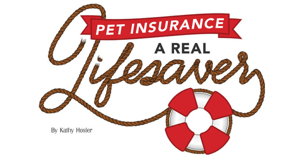 Pet Insurance: A Real Lifesaver