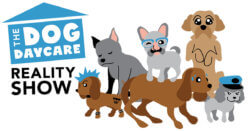 The Dog Daycare Reality Show