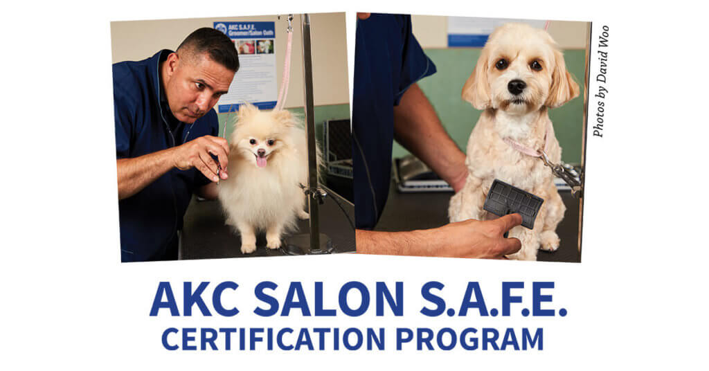 AKC Salon S.A.F.E. Certification Program