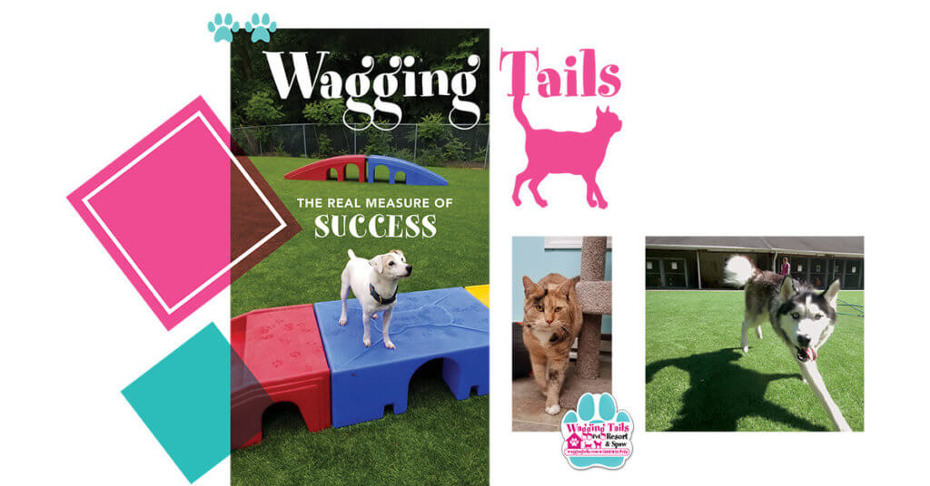 Wagging Tails: The Real Measure of Success