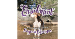 The Eight Spheres of Enrichment: A Foolproof Approach to Daycare Dilemmas