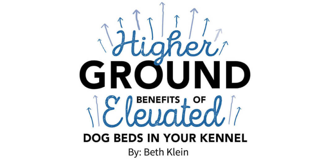 Higher Ground: Benefits of Elevated Dog Beds in Your Kennel