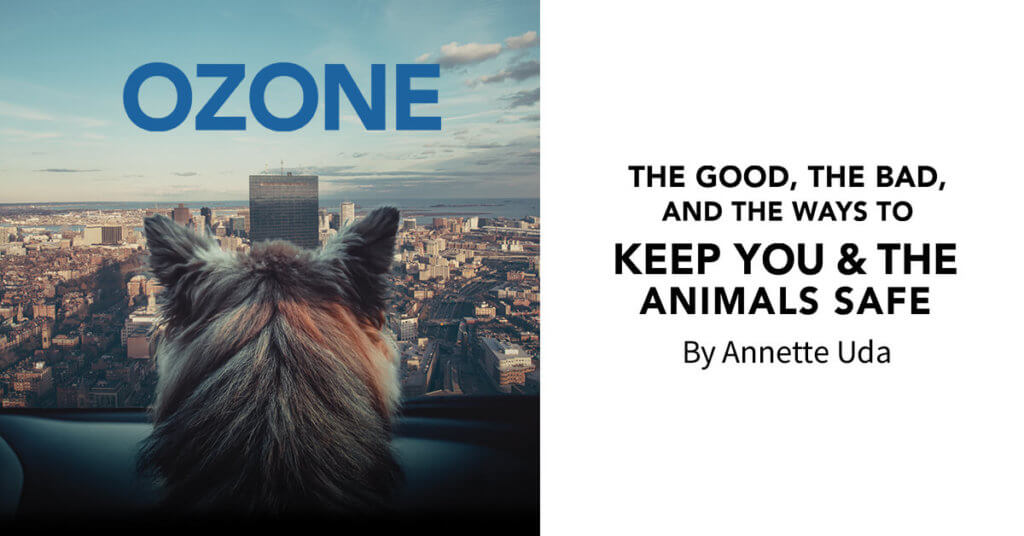 Ozone: The Good, the Bad, and the Ways to Keep You & the Animals Safe