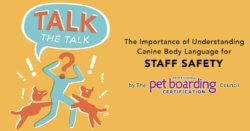 Talk the Talk: Understanding Canine Body Language for Staff Safety