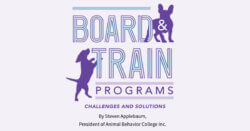 Board & Train Programs: Challenges and Solutions