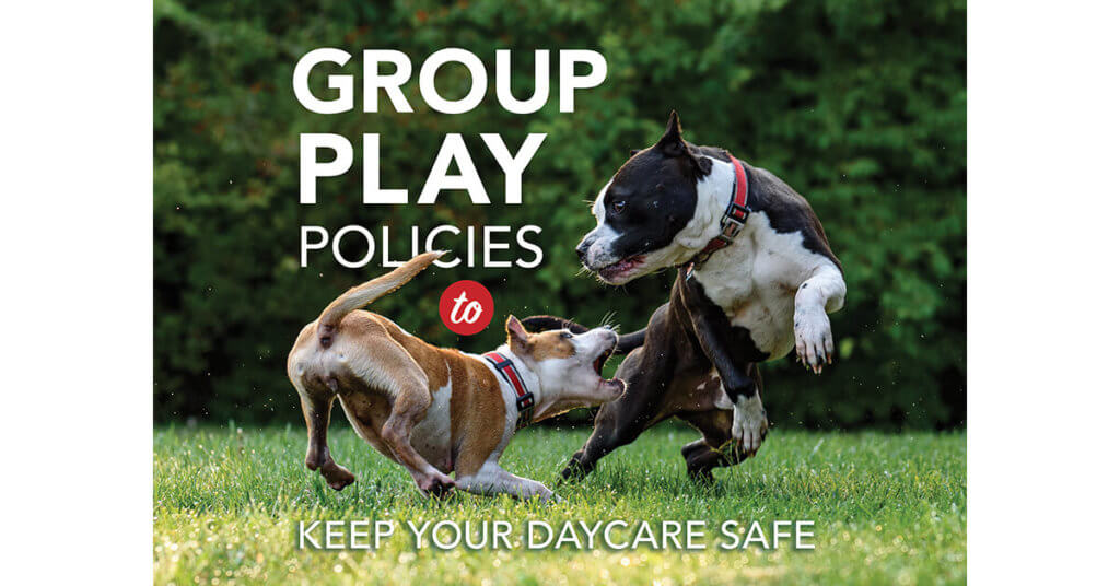 Group Play Policies to Keep Your Daycare Safe