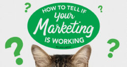 How to Tell If Your Marketing Is Working