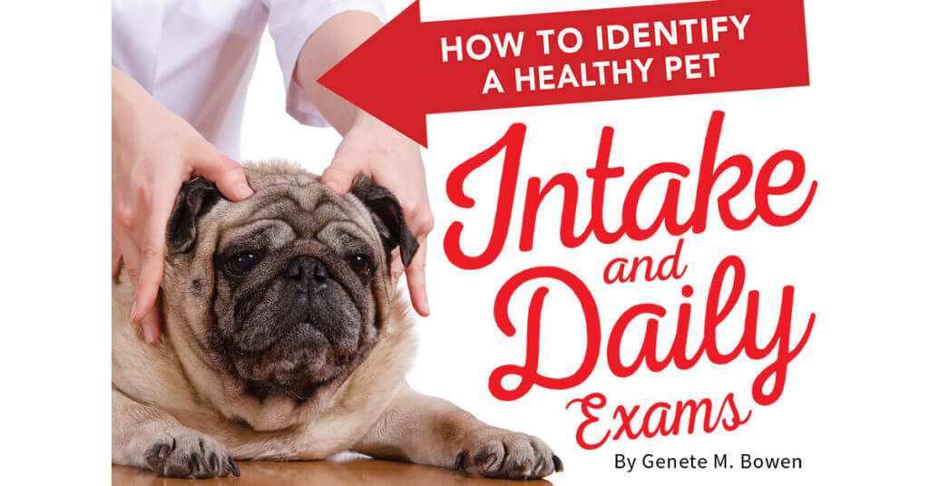 How to Identify a Healthy Pet: Intake and Daily Exams
