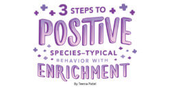 3 Steps to Positive Species-Typical Behavior with Enrichment