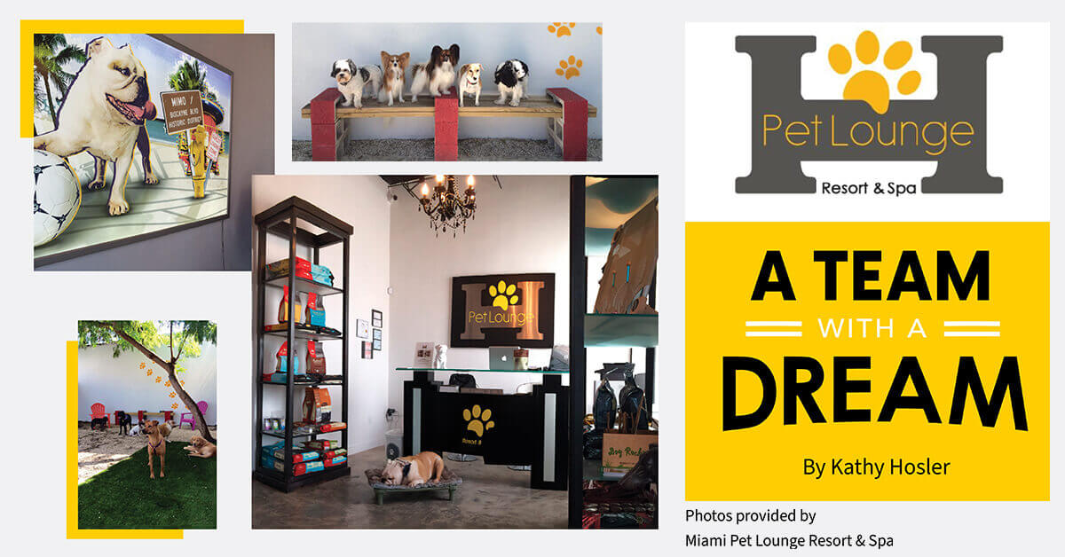 Pet Lounge Resort & Spa A Team with a Dream Pet Boarding and Daycare