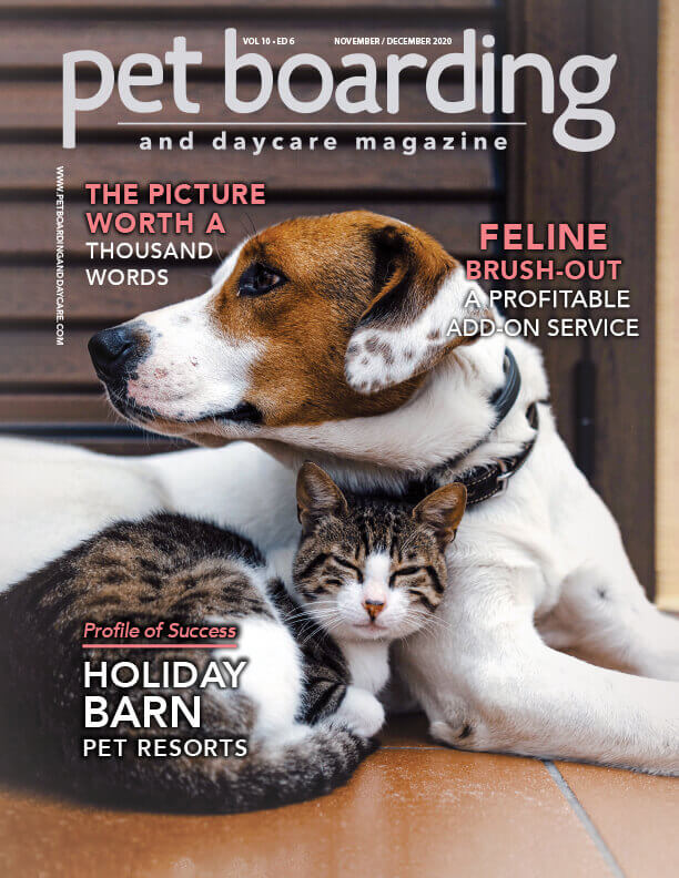Cover of the November/December 2020 issue