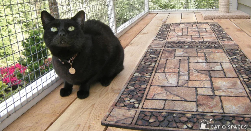Cater to Your Cat Guests with “Catios”