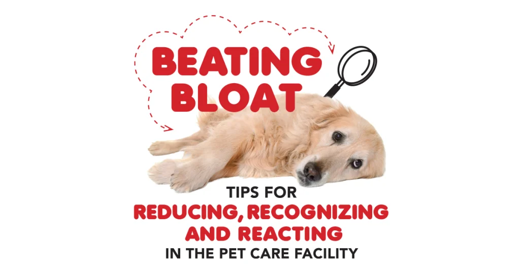 Beating Bloat: Tips for Reducing, Recognizing & Reacting in the Pet Care Facility