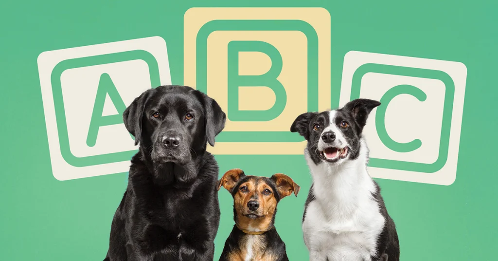 How Selling More Pet Products Is As Easy As ABC