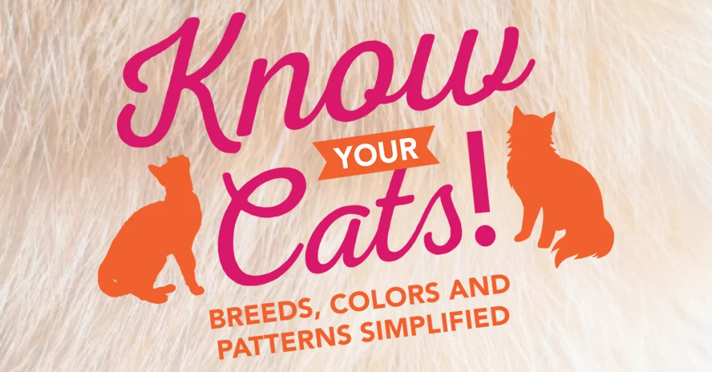 Know Your Cats! Breeds, Colors and Patterns Simplified