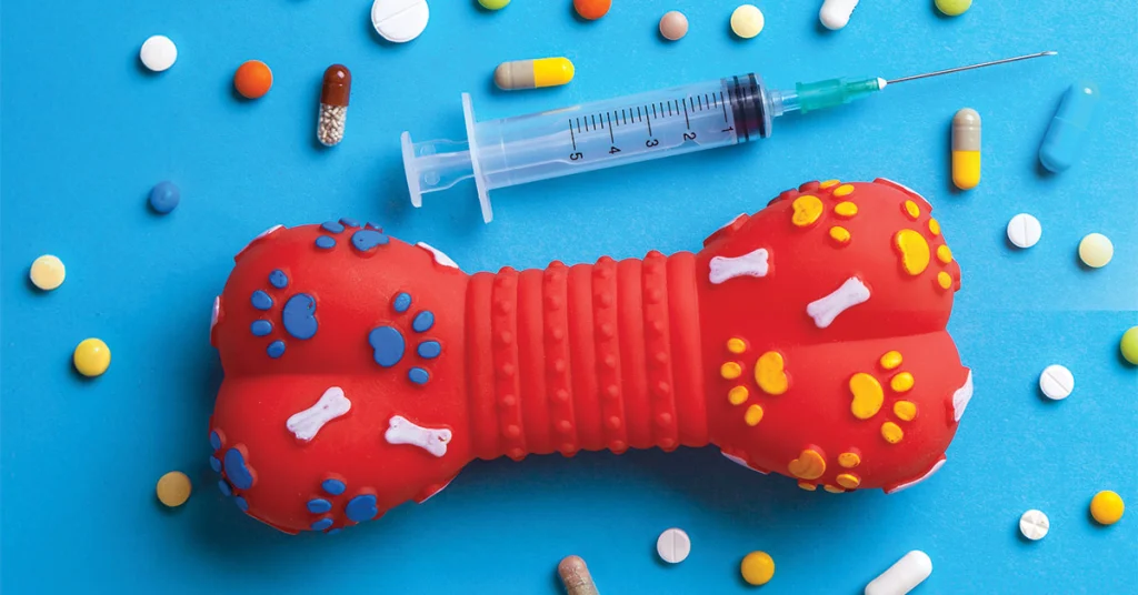 Understanding Canine Vaccines as a Pet Care Professional