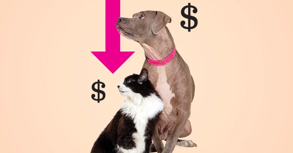 Is Demand for Pet Care Services Declining? Digital Marketing Trends to Watch Closely